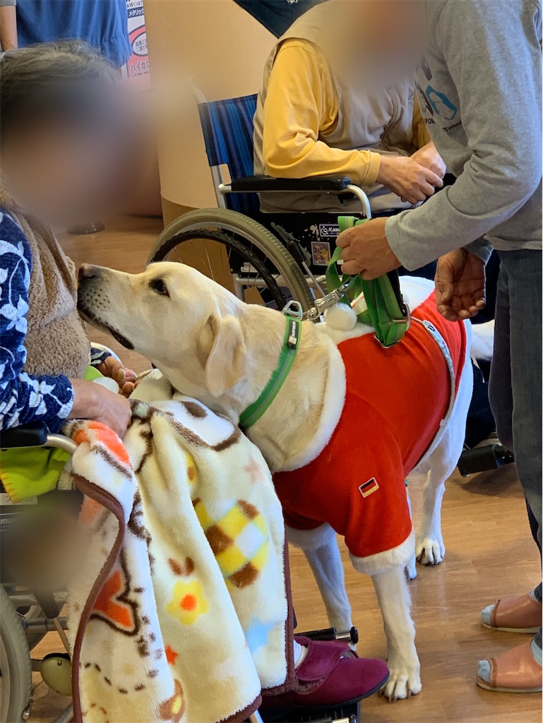 f:id:sakaivet2019:20200115223037j:image f:id:sakaivet2019:20200115223037j:image
