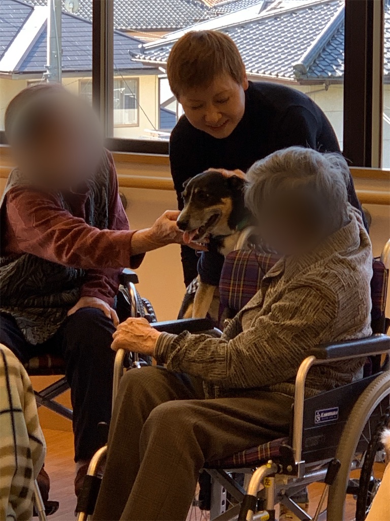 f:id:sakaivet2019:20200115223044j:image f:id:sakaivet2019:20200115223044j:image