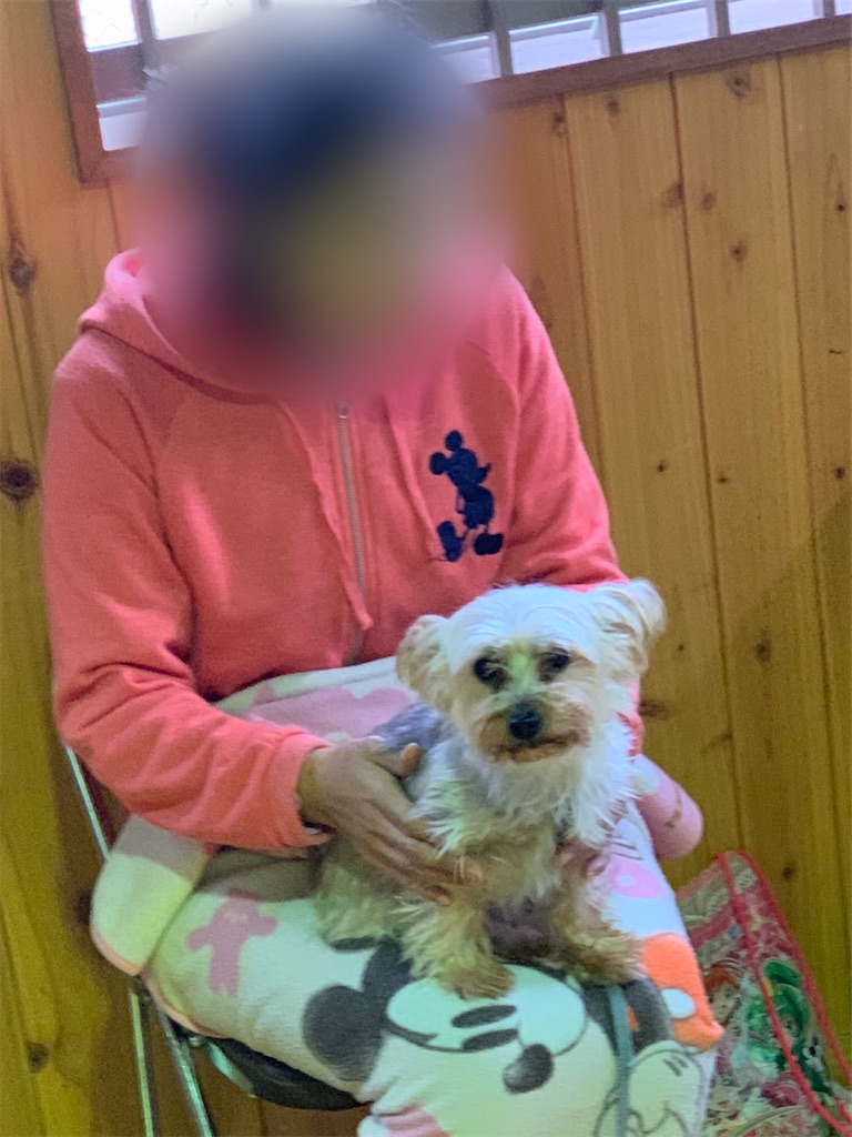 f:id:sakaivet2019:20200115225925j:image