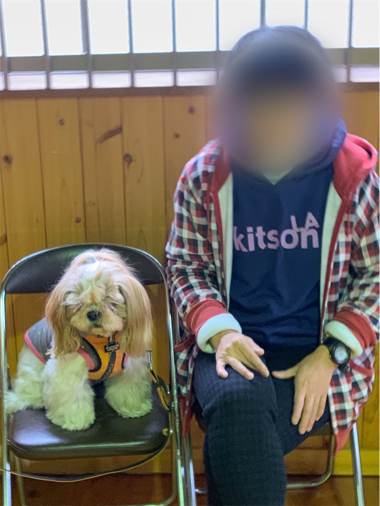 f:id:sakaivet2019:20200115225934j:image