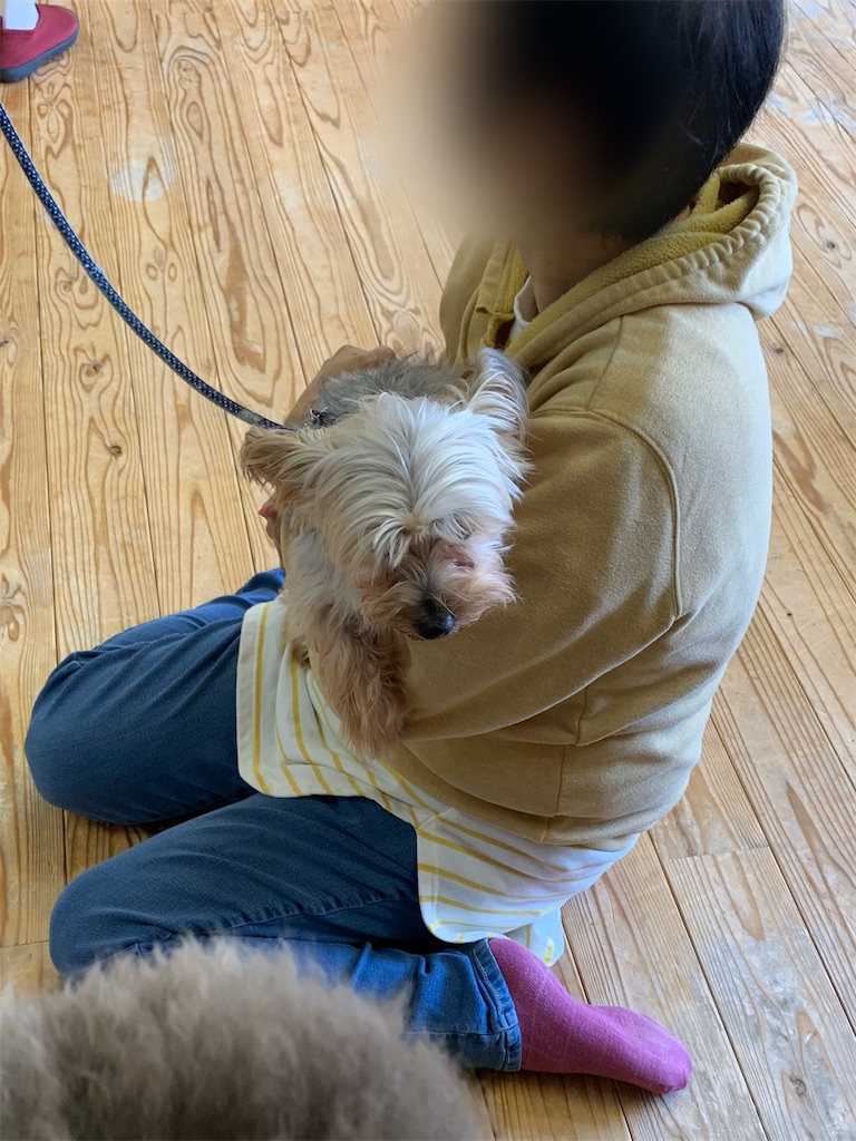 f:id:sakaivet2019:20200116200314j:image f:id:sakaivet2019:20200116200314j:image