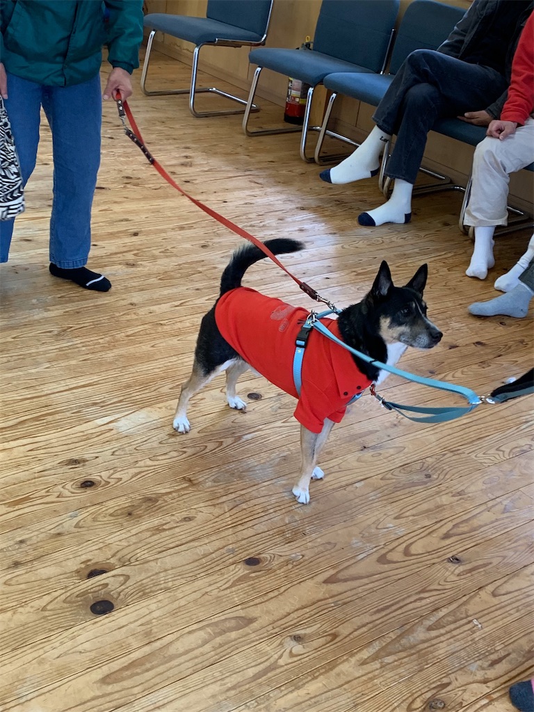 f:id:sakaivet2019:20200116200333j:image f:id:sakaivet2019:20200116200333j:image