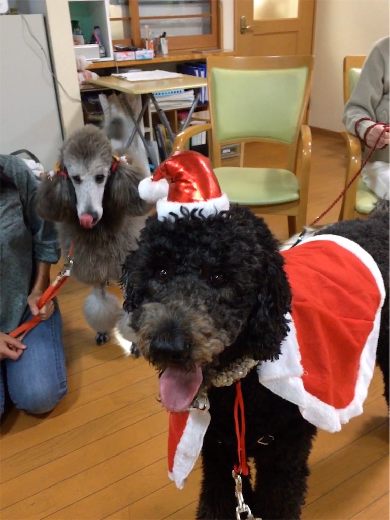f:id:sakaivet2019:20200116210845j:image f:id:sakaivet2019:20200116210845j:image