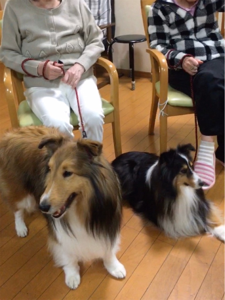 f:id:sakaivet2019:20200116210851j:image f:id:sakaivet2019:20200116210851j:image
