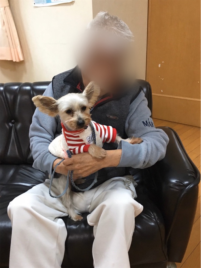 f:id:sakaivet2019:20200116210858j:image f:id:sakaivet2019:20200116210858j:image