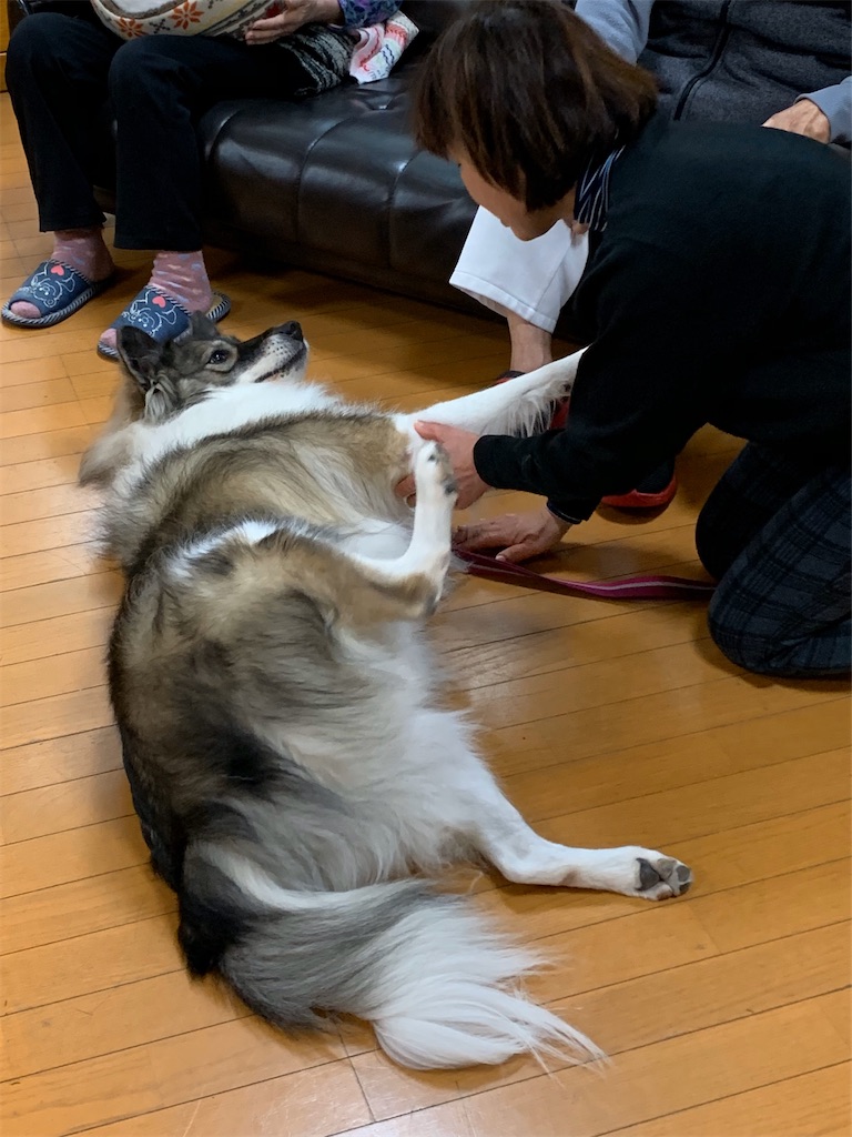 f:id:sakaivet2019:20200116210902j:image f:id:sakaivet2019:20200116210902j:image