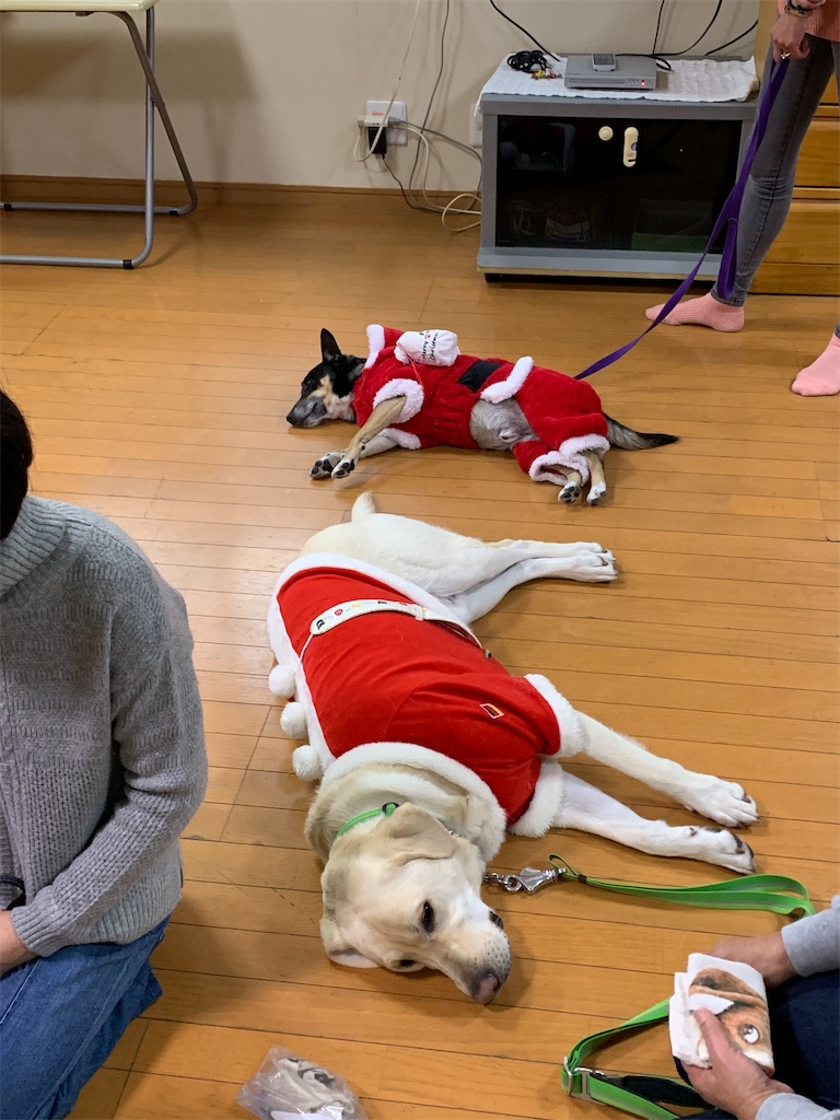 f:id:sakaivet2019:20200116210905j:image f:id:sakaivet2019:20200116210905j:image