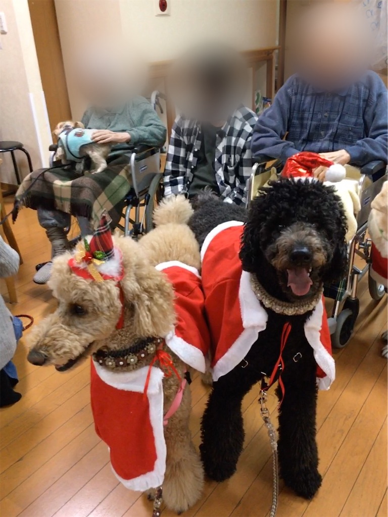 f:id:sakaivet2019:20200116210912j:image f:id:sakaivet2019:20200116210912j:image