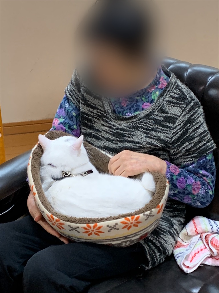 f:id:sakaivet2019:20200116210916j:image f:id:sakaivet2019:20200116210916j:image