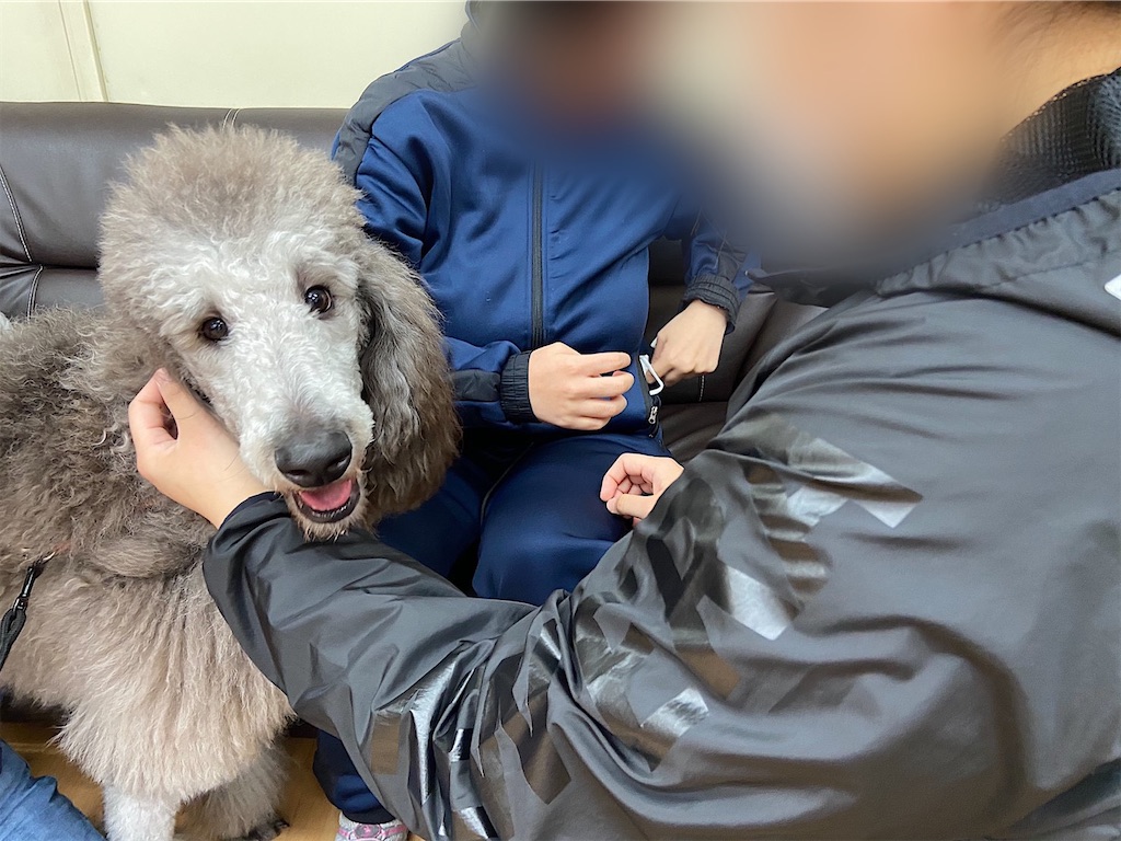 f:id:sakaivet2019:20200116213725j:image f:id:sakaivet2019:20200116213725j:image