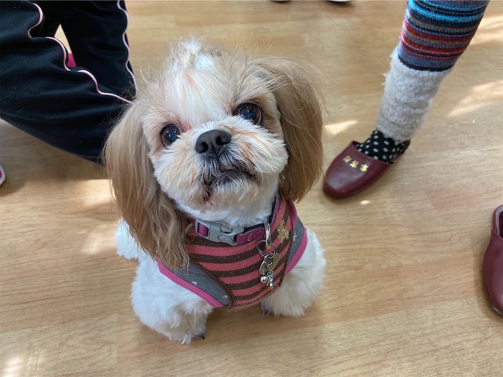 f:id:sakaivet2019:20200116213732j:image f:id:sakaivet2019:20200116213732j:image