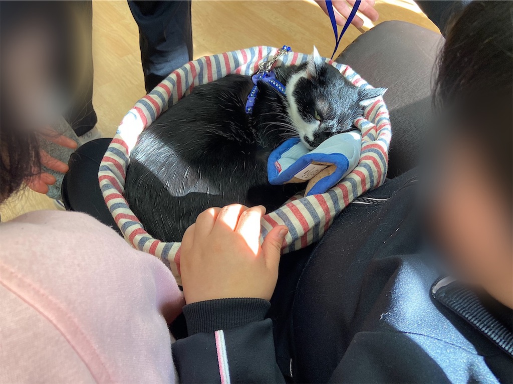 f:id:sakaivet2019:20200116213751j:image f:id:sakaivet2019:20200116213751j:image