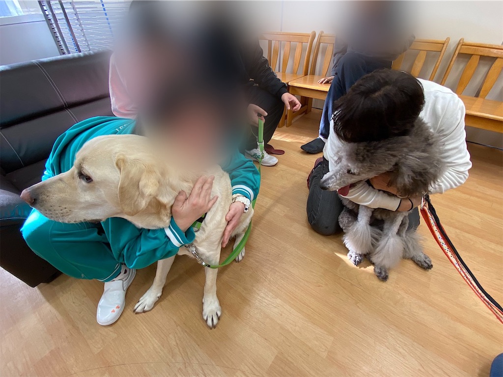 f:id:sakaivet2019:20200116213758j:image f:id:sakaivet2019:20200116213758j:image