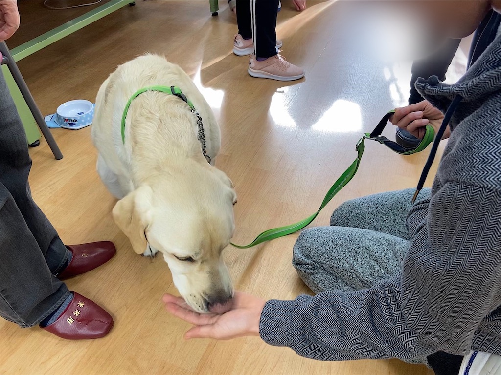 f:id:sakaivet2019:20200116213801j:image f:id:sakaivet2019:20200116213801j:image