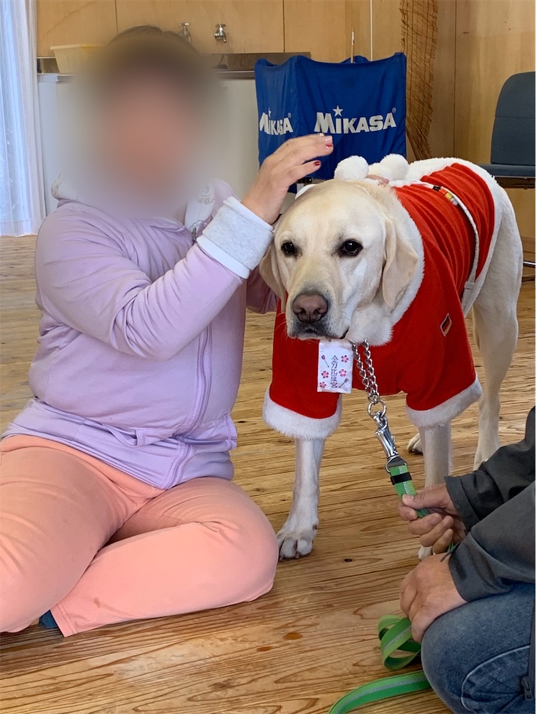 f:id:sakaivet2019:20200116220656j:image f:id:sakaivet2019:20200116220656j:image