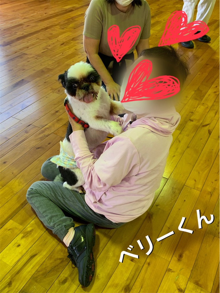 f:id:sakaivet2019:20200615172152j:image f:id:sakaivet2019:20200615172152j:image