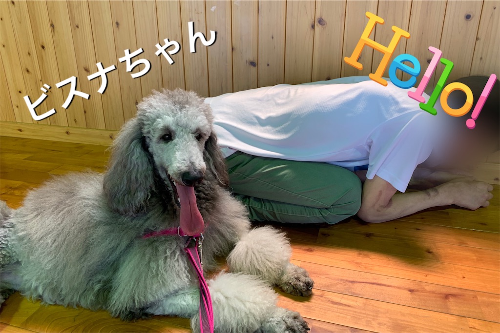 f:id:sakaivet2019:20200615172218j:image f:id:sakaivet2019:20200615172218j:image