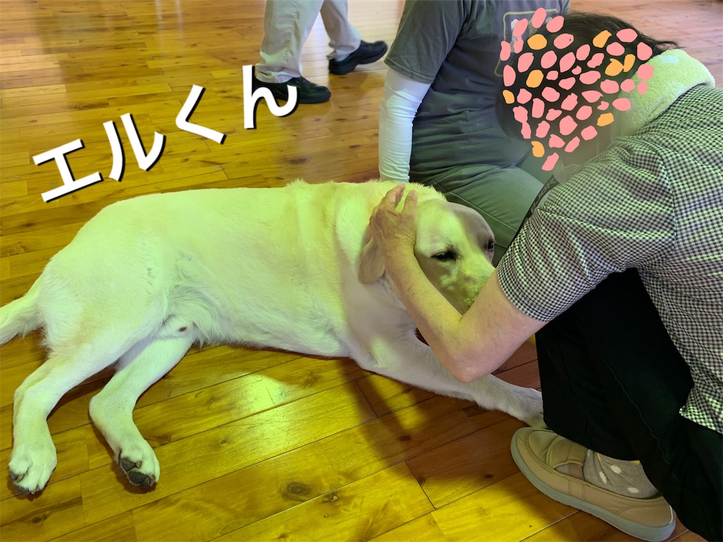 f:id:sakaivet2019:20200615172234j:image f:id:sakaivet2019:20200615172234j:image