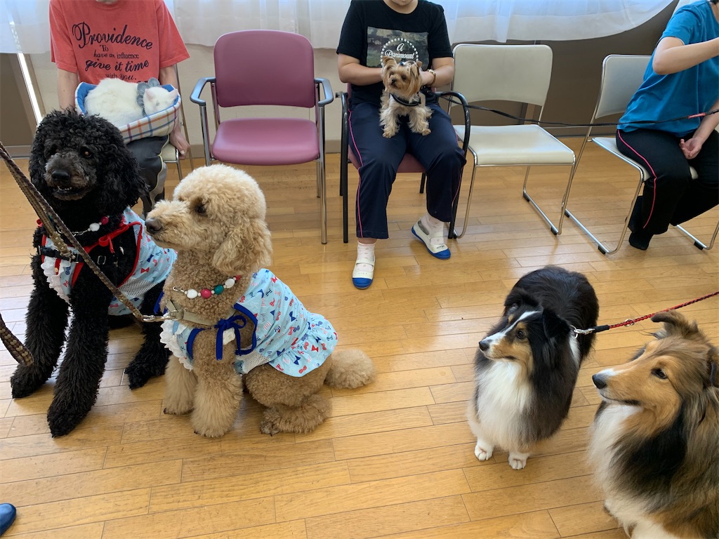 f:id:sakaivet2019:20200702172312j:image f:id:sakaivet2019:20200702172312j:image