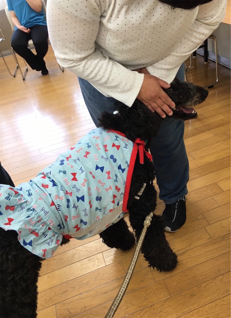 f:id:sakaivet2019:20200702172450j:image f:id:sakaivet2019:20200702172450j:image