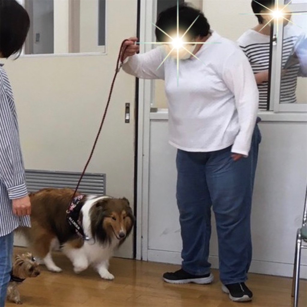 f:id:sakaivet2019:20200702174112j:image f:id:sakaivet2019:20200702174112j:image