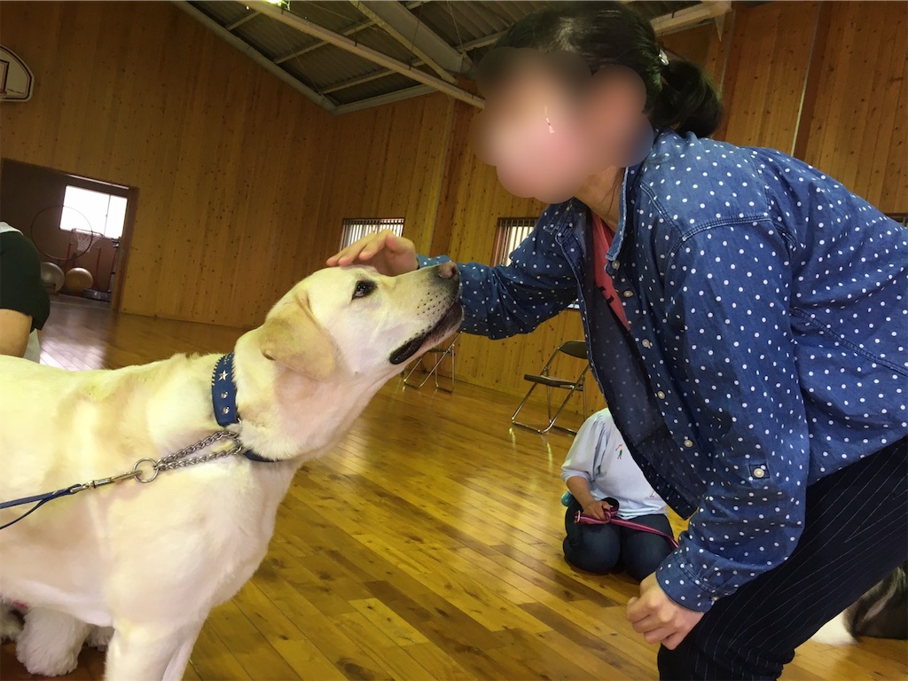 f:id:sakaivet2019:20200718112546j:image f:id:sakaivet2019:20200718112546j:image