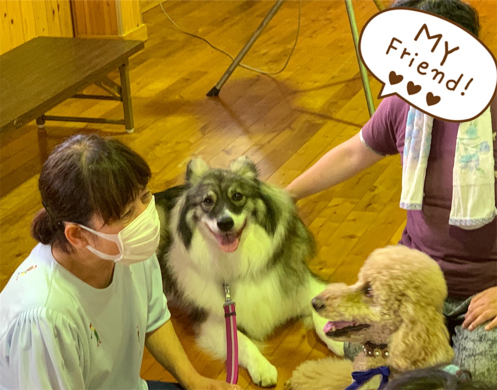 f:id:sakaivet2019:20200718112550j:image f:id:sakaivet2019:20200718112550j:image