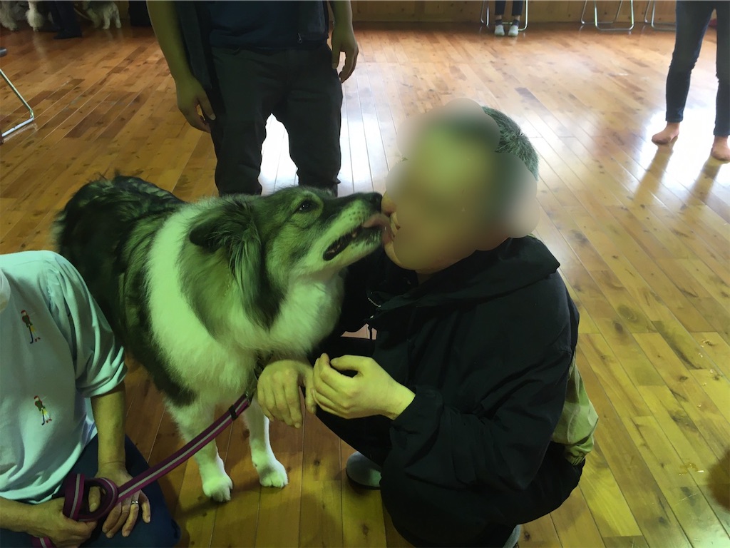 f:id:sakaivet2019:20200718112554j:image f:id:sakaivet2019:20200718112554j:image