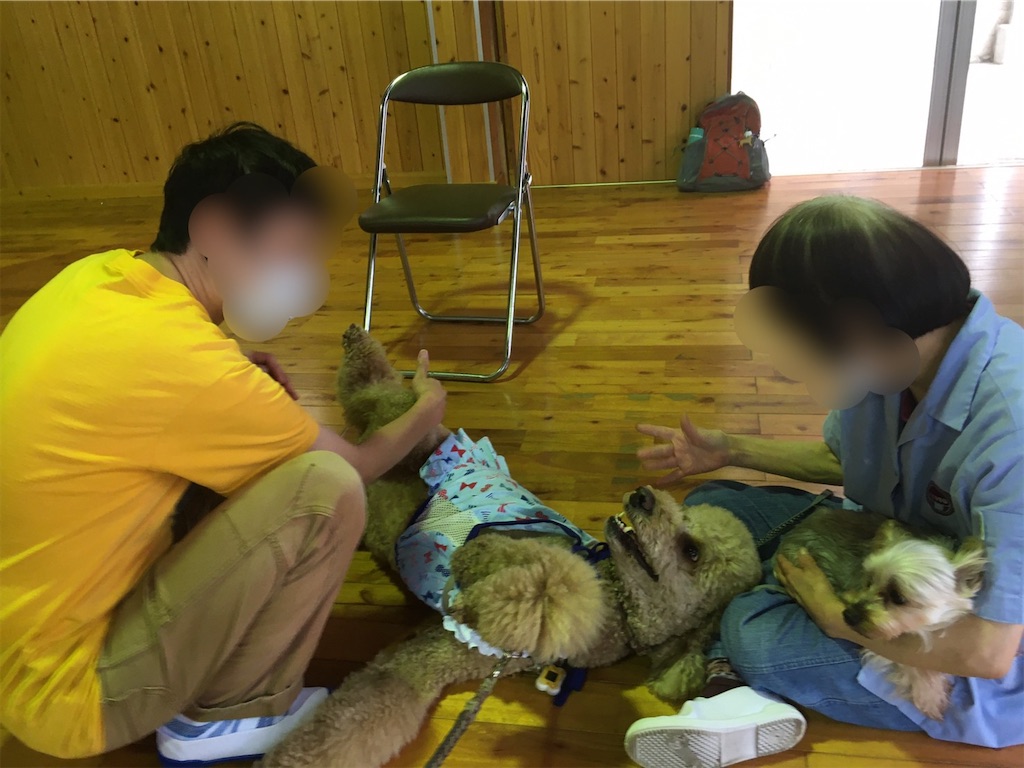 f:id:sakaivet2019:20200718113241j:image f:id:sakaivet2019:20200718113241j:image