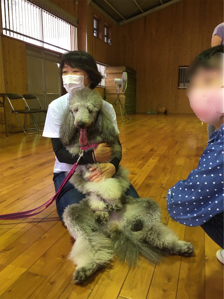 f:id:sakaivet2019:20200718113705j:image f:id:sakaivet2019:20200718113705j:image