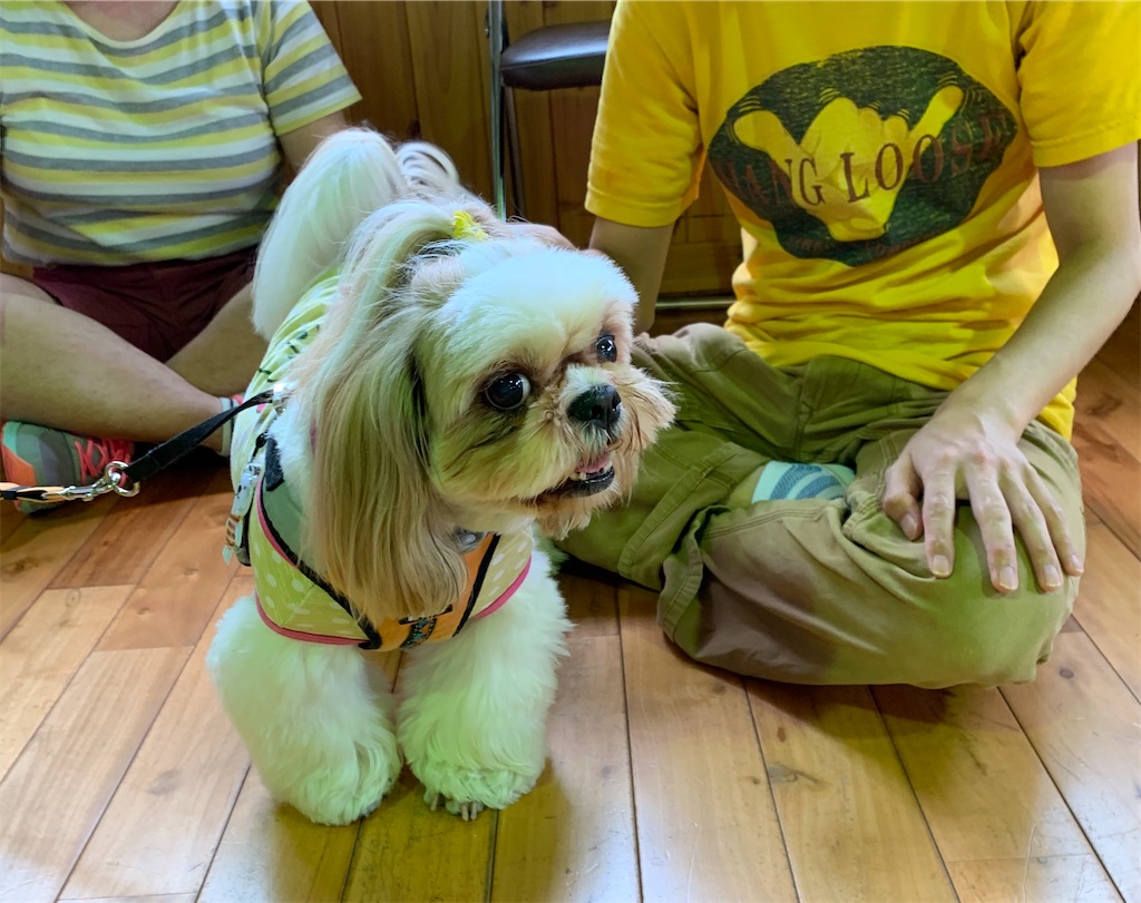 f:id:sakaivet2019:20200718114620j:image f:id:sakaivet2019:20200718114620j:image