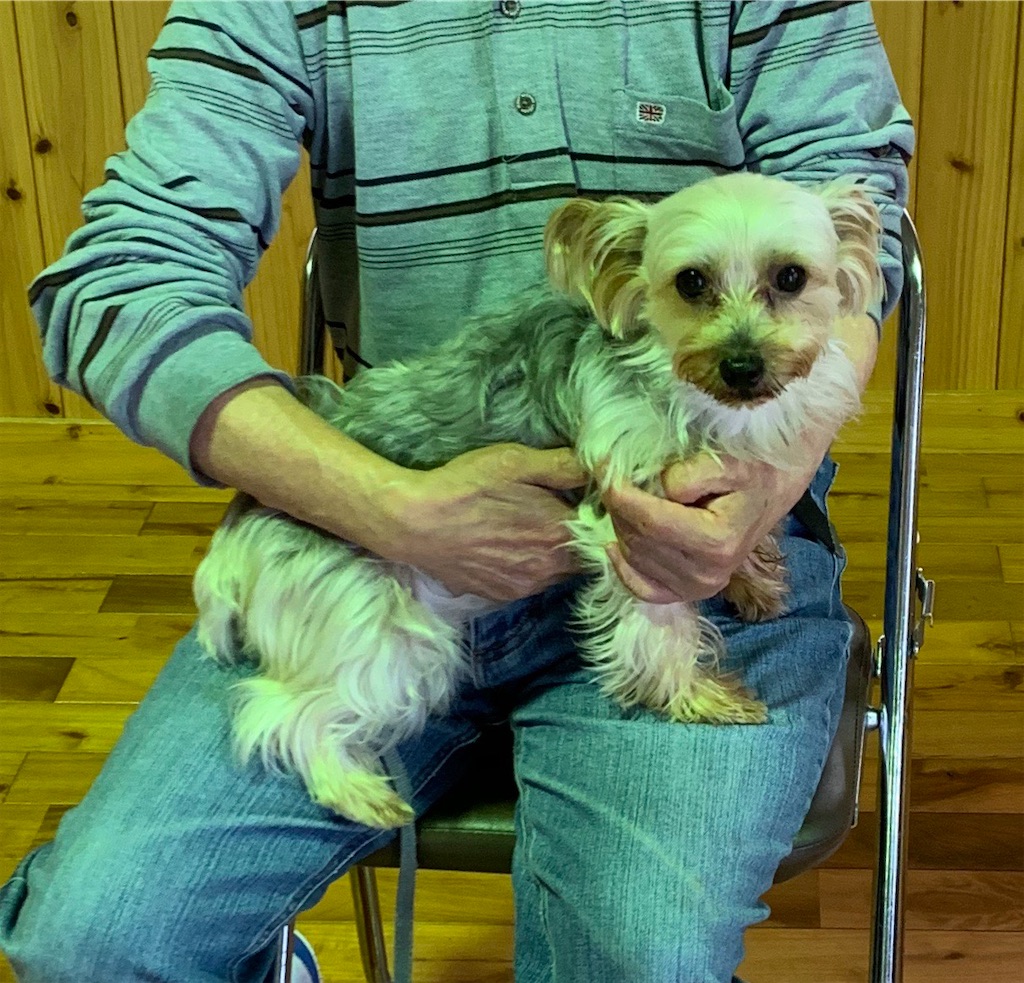 f:id:sakaivet2019:20200718114624j:image f:id:sakaivet2019:20200718114624j:image