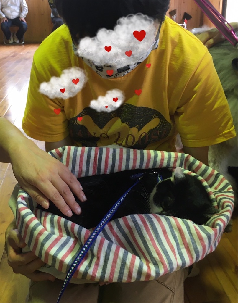 f:id:sakaivet2019:20200718120246j:image f:id:sakaivet2019:20200718120246j:image