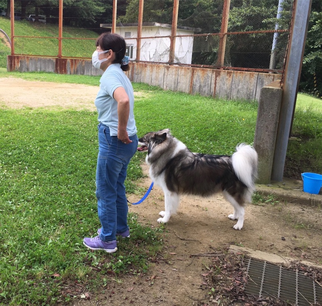 f:id:sakaivet2019:20200720170309j:image f:id:sakaivet2019:20200720170309j:image