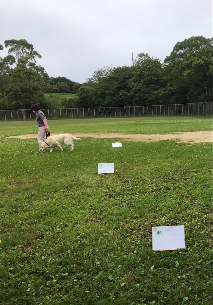 f:id:sakaivet2019:20200720170324j:image f:id:sakaivet2019:20200720170324j:image
