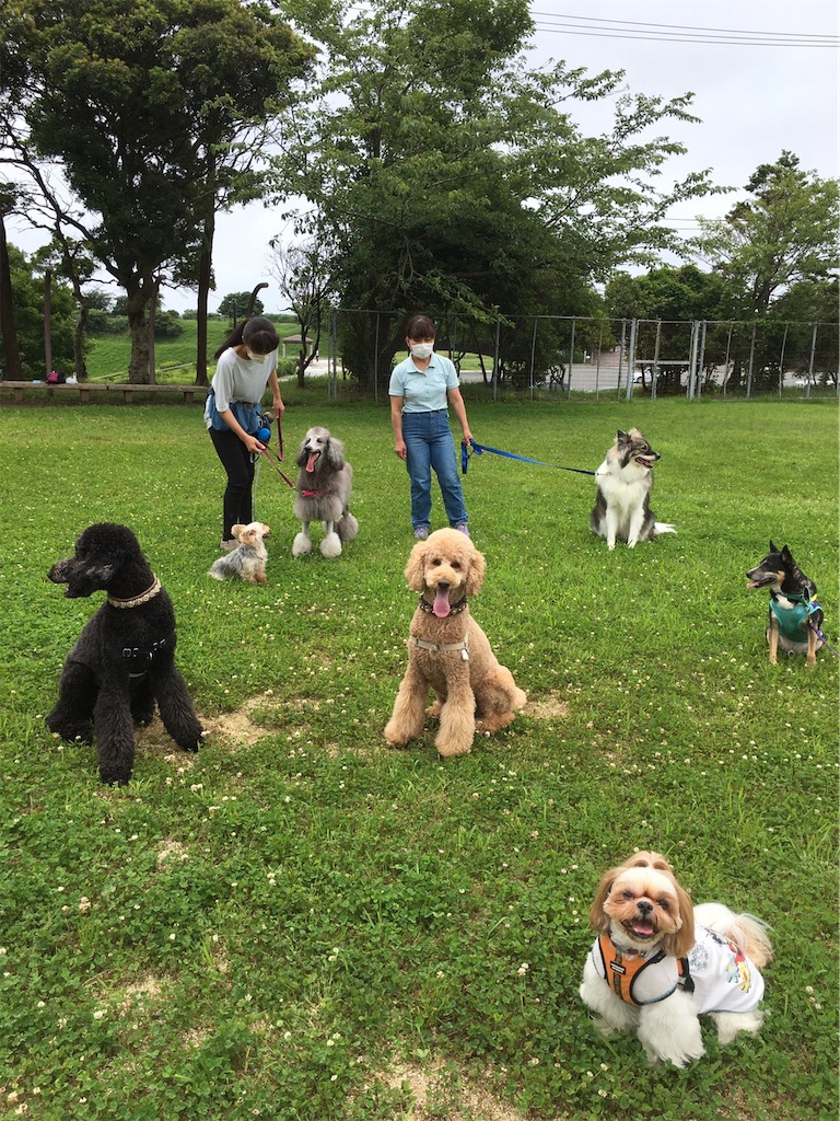 f:id:sakaivet2019:20200720173117j:image f:id:sakaivet2019:20200720173117j:image