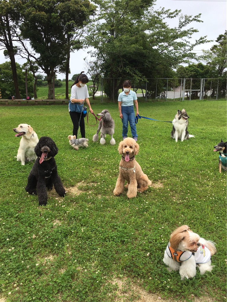 f:id:sakaivet2019:20200720173127j:image f:id:sakaivet2019:20200720173127j:image