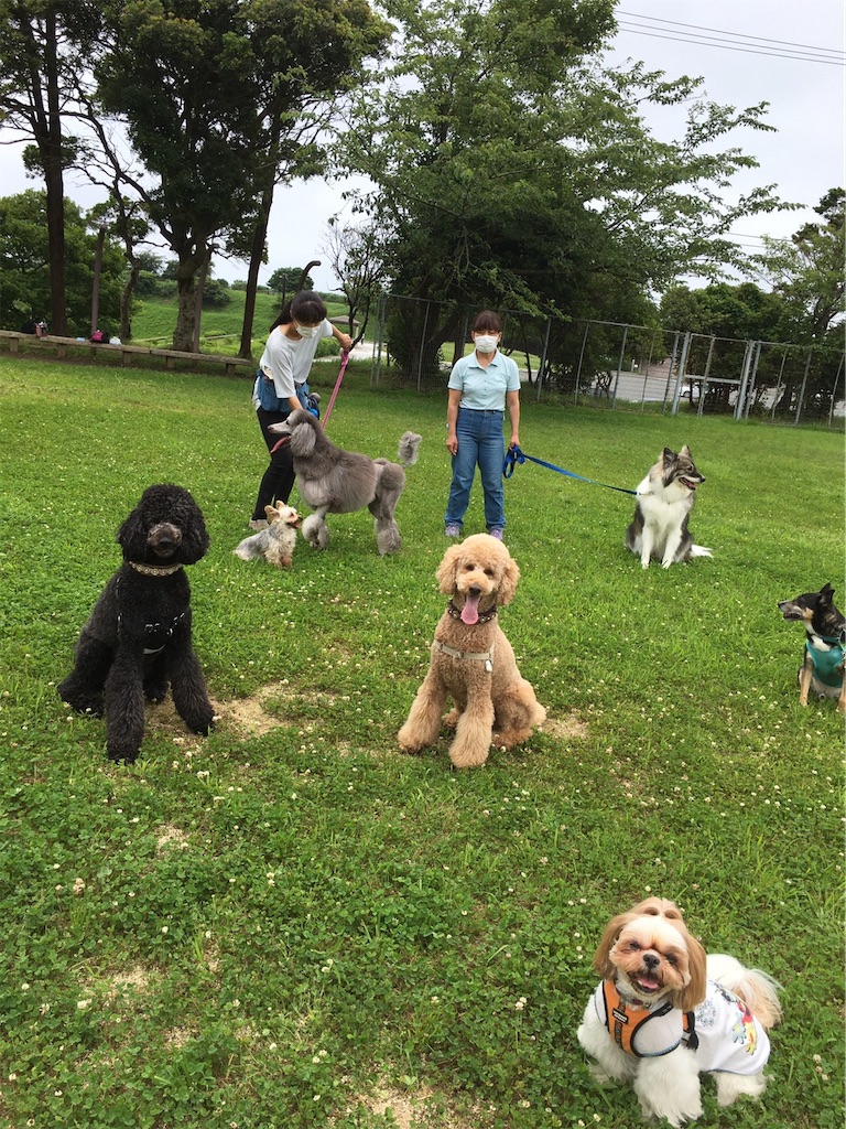 f:id:sakaivet2019:20200720173136j:image f:id:sakaivet2019:20200720173136j:image