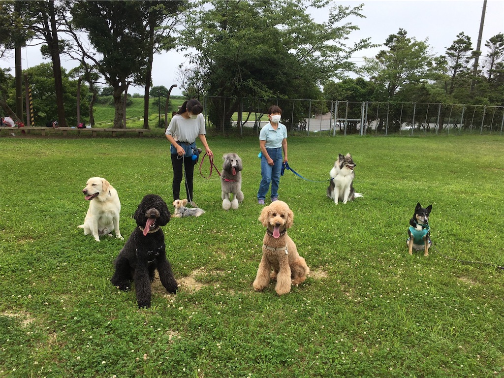 f:id:sakaivet2019:20200720173213j:image f:id:sakaivet2019:20200720173213j:image
