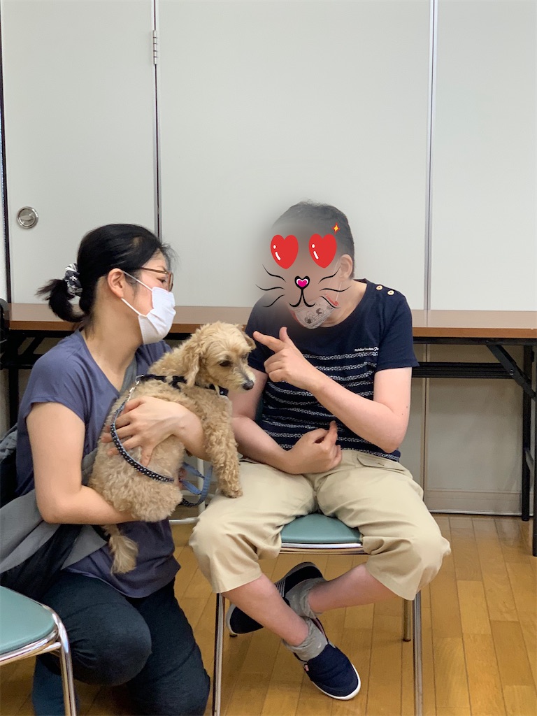 f:id:sakaivet2019:20200828160939j:image f:id:sakaivet2019:20200828160939j:image