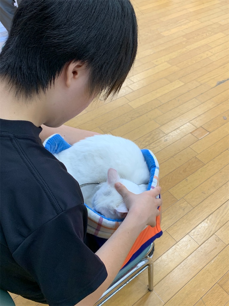 f:id:sakaivet2019:20200828160959j:image f:id:sakaivet2019:20200828160959j:image
