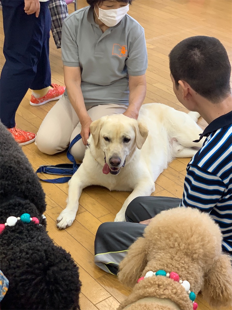 f:id:sakaivet2019:20200828161009j:image f:id:sakaivet2019:20200828161009j:image