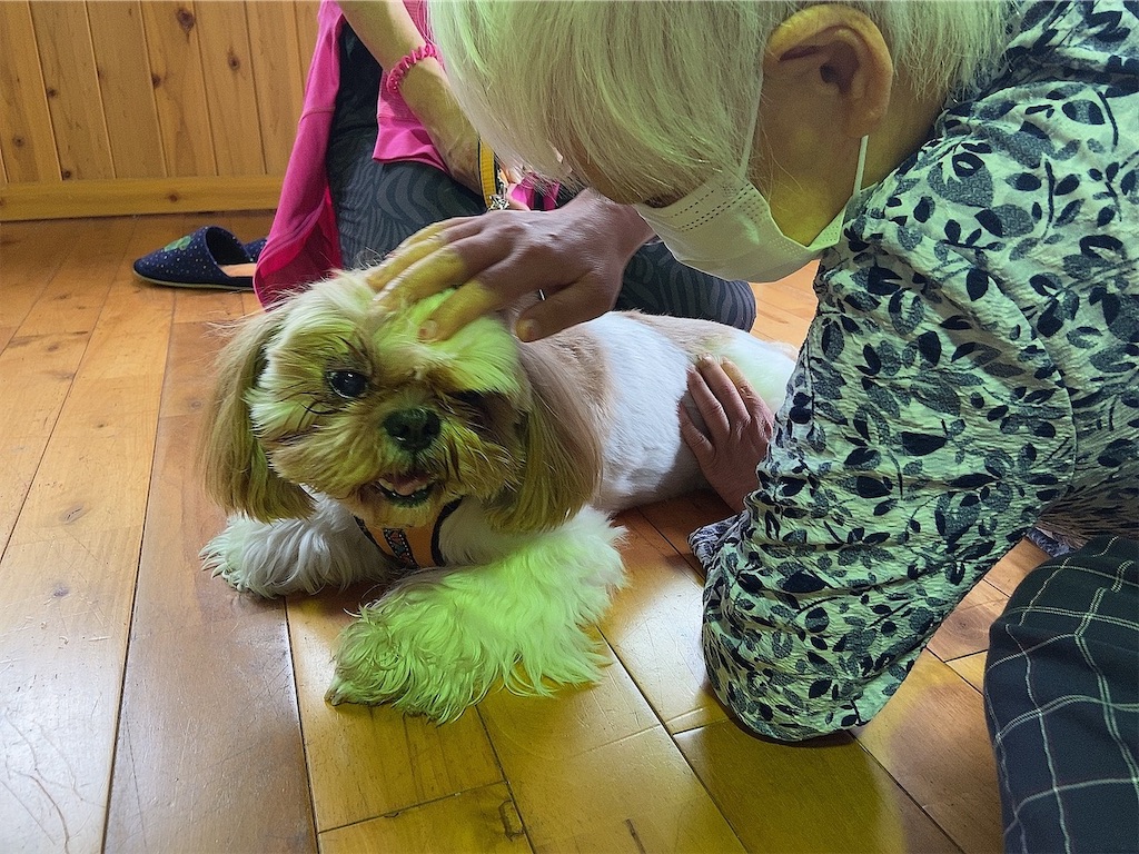 f:id:sakaivet2019:20201006141112j:image f:id:sakaivet2019:20201006141112j:image