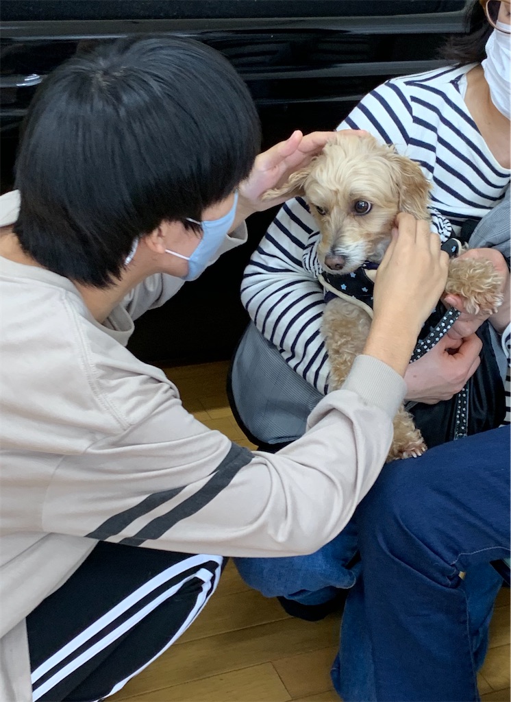 f:id:sakaivet2019:20201029094525j:image f:id:sakaivet2019:20201029094525j:image