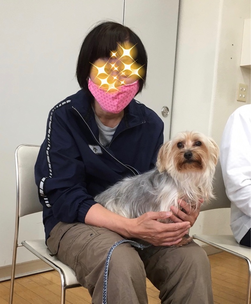 f:id:sakaivet2019:20201029094531j:image f:id:sakaivet2019:20201029094531j:image