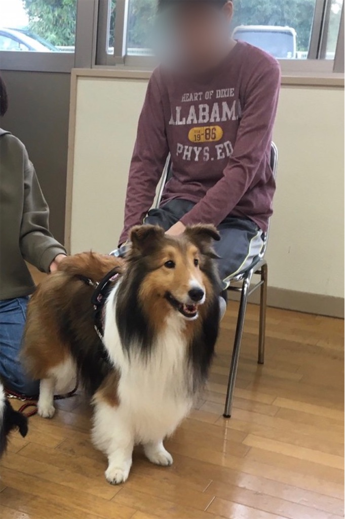 f:id:sakaivet2019:20201029094538j:image f:id:sakaivet2019:20201029094538j:image
