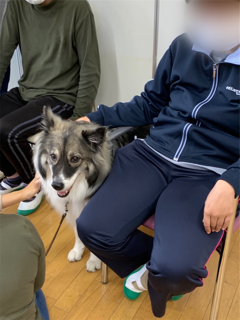 f:id:sakaivet2019:20201029094541j:image f:id:sakaivet2019:20201029094541j:image