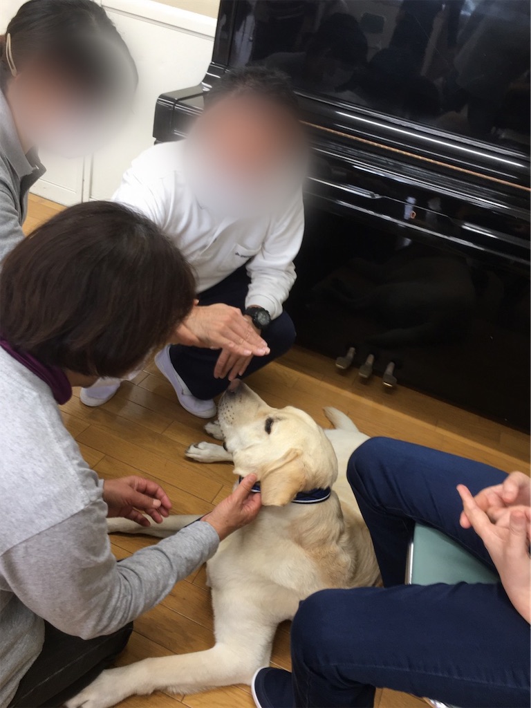 f:id:sakaivet2019:20201029094544j:image f:id:sakaivet2019:20201029094544j:image