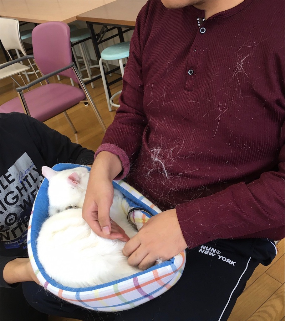 f:id:sakaivet2019:20201029094656j:image f:id:sakaivet2019:20201029094656j:image