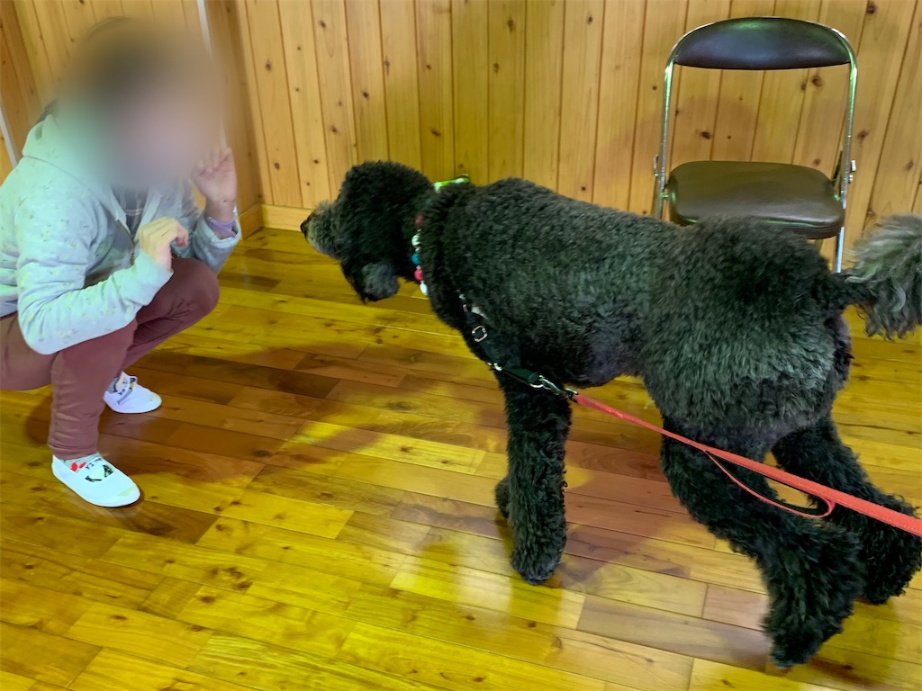 f:id:sakaivet2019:20201114104659j:image f:id:sakaivet2019:20201114104659j:image